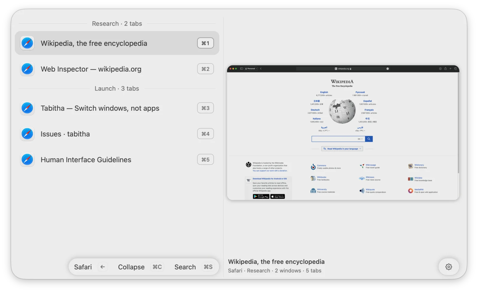 Two Safari windows collapsed into one group, opened to show their tabs